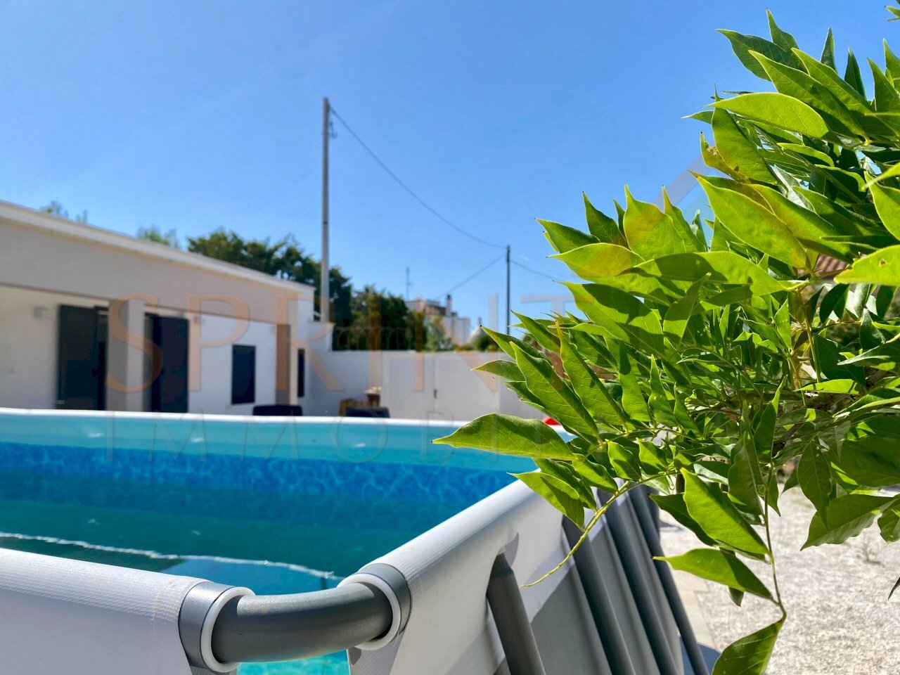 13.jpg - Villa Monopoli - foto 1