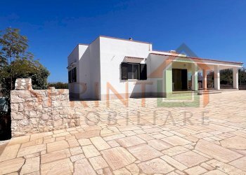 IMG_7583.jpg - Villa Monopoli - foto 2