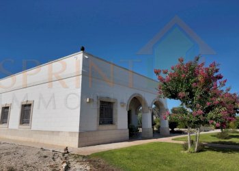 DJI_20250714165520_0194_D.jpg - Villa Ostuni - foto 15