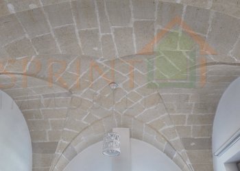 DJI_20250714170459_0213_D.jpg - Villa Ostuni - foto 19