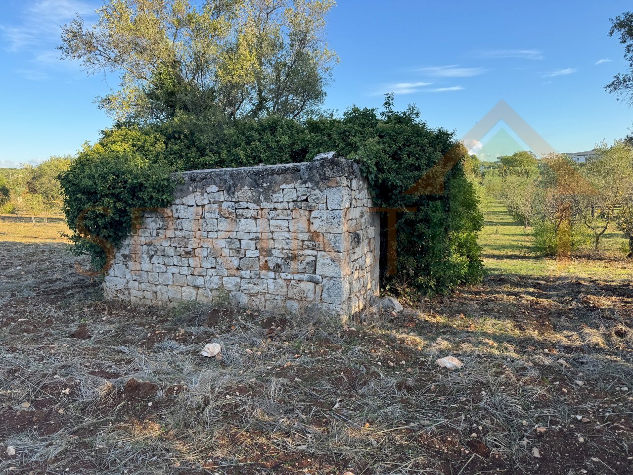 IMG_2208.jpg - Warehouse C.da San Bartolomeo, Monopoli - photo 3