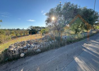 IMG_2220.jpg - Warehouse C.da San Bartolomeo, Monopoli - photo 2