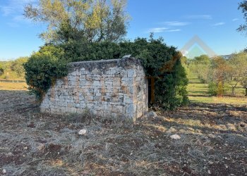 IMG_2208.jpg - Warehouse C.da San Bartolomeo, Monopoli - photo 3