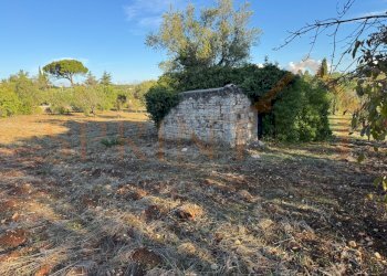 IMG_2211.jpg - Warehouse C.da San Bartolomeo, Monopoli - photo 4