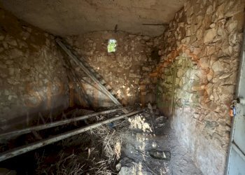 IMG_2216.jpg - Warehouse C.da San Bartolomeo, Monopoli - photo 5