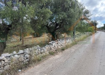 5.jpg - Warehouse C.da San Bartolomeo, Monopoli - photo 10