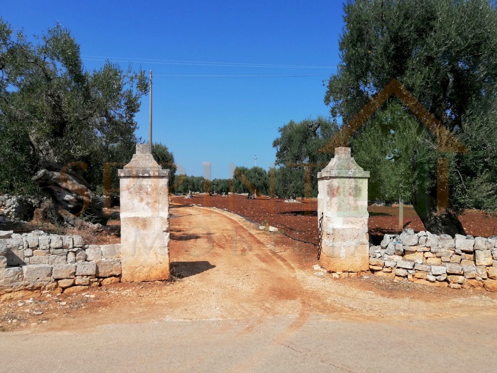 IMG_20200920_124413-2.jpg - Terreno agricolo Monopoli - foto 1