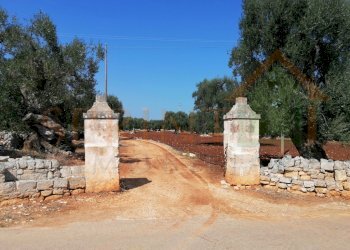 IMG_20200920_124413-2.jpg - Terreno agricolo Monopoli - foto 1