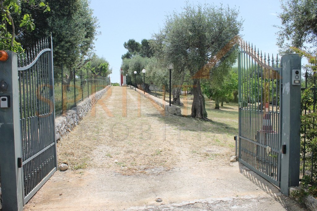 IMG_4692.jpg - Casa indipendente Monopoli - foto 2