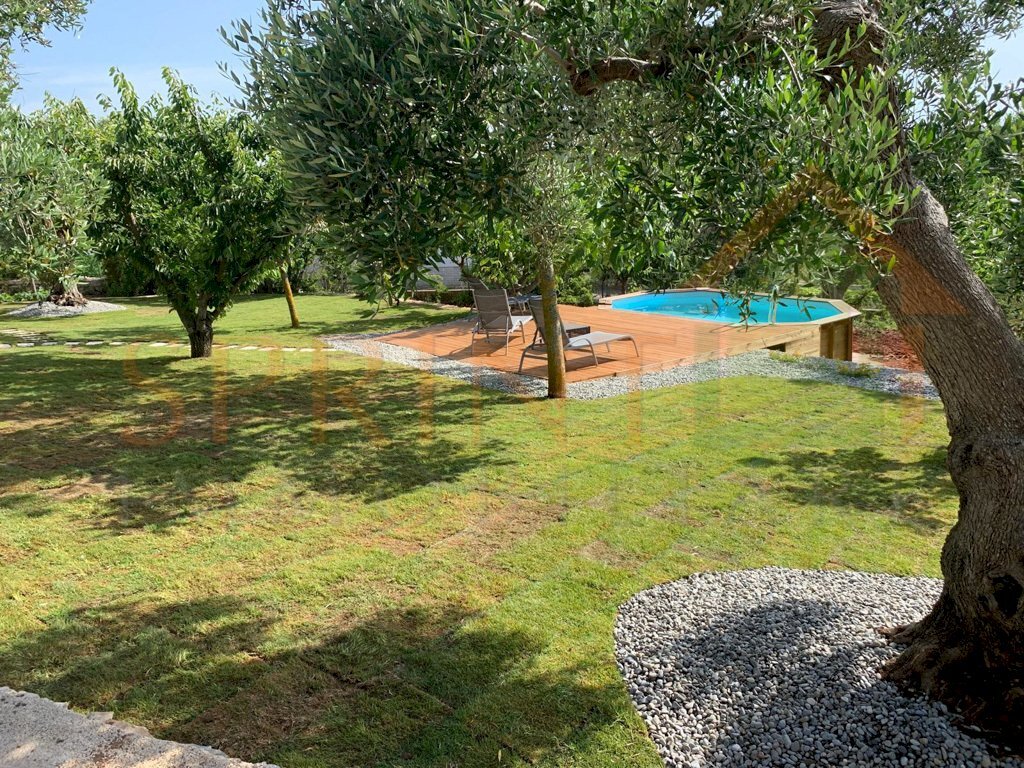 PHOTO-2025-05-16-17-09-54 2.jpg - Casa indipendente Monopoli - foto 3