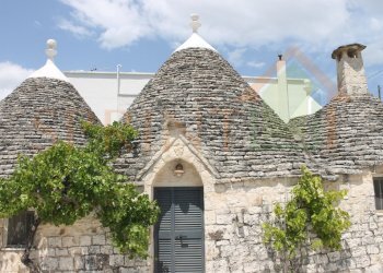 IMG_4740.jpg - Independent house Monopoli - photo 1