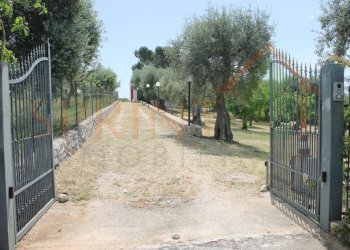 IMG_4692.jpg - Independent house Monopoli - photo 2