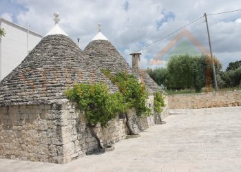 IMG_4707.jpg - Independent house Monopoli - photo 9