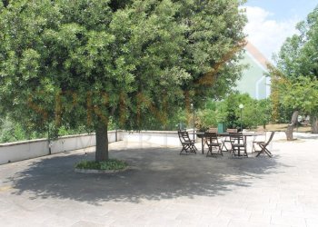 IMG_4709.jpg - Independent house Monopoli - photo 10