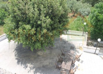 IMG_4735.jpg - Independent house Monopoli - photo 13