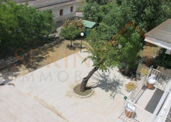 IMG_4736.jpg - Independent house Monopoli - photo 14