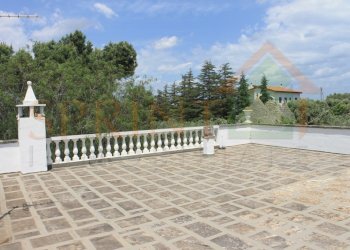 IMG_4734.jpg - Independent house Monopoli - photo 18