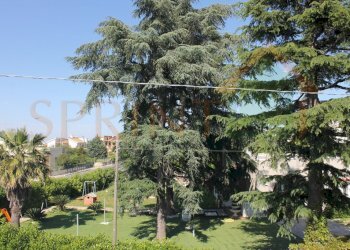 IMG_4590.jpg - Appartamento Via delle grotte  29, Castellana Grotte - foto 13