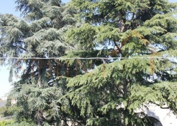 IMG_4616.jpg - Appartamento Via delle grotte  29, Castellana Grotte - foto 21