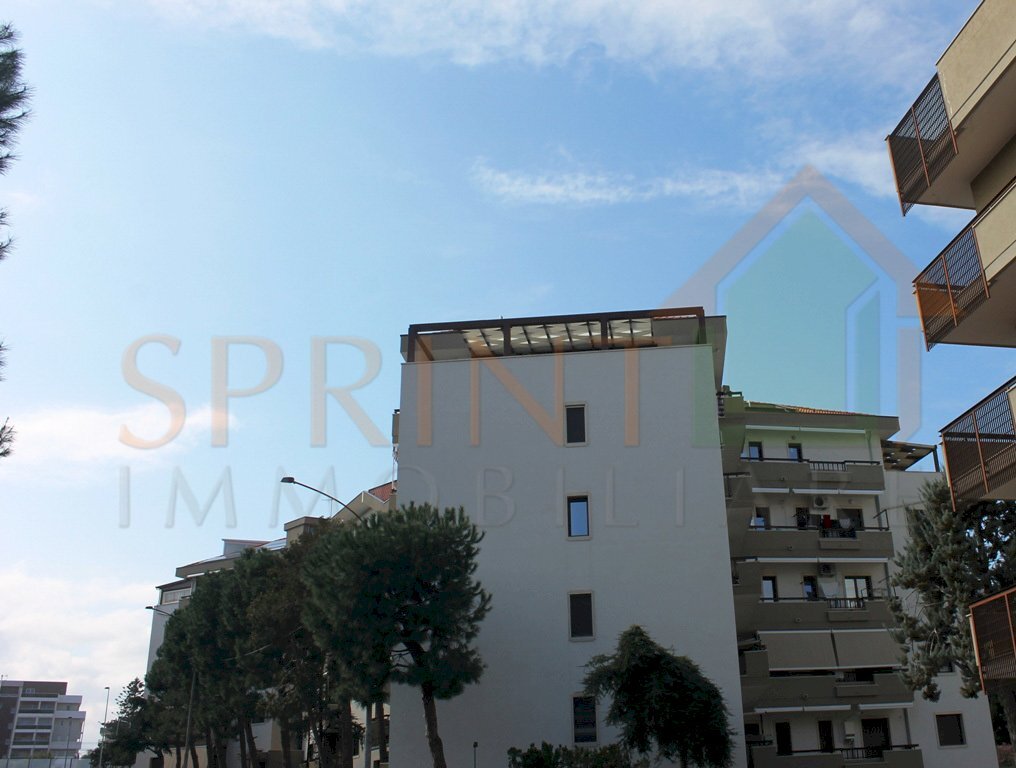 IMG_4361.jpg - Appartamento Monopoli - foto 3