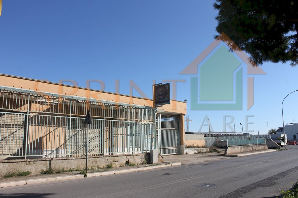 IMG_3984.jpg - Capannone Monopoli - foto 1