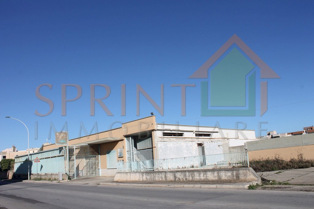 IMG_3981.jpg - Capannone Monopoli - foto 2