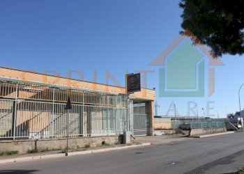 IMG_3984.jpg - Capannone Monopoli - foto 1