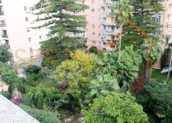 IMG_3907.jpg - Trilocale Monopoli - foto 2