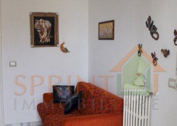 IMG_3866.jpg - Trilocale Monopoli - foto 5