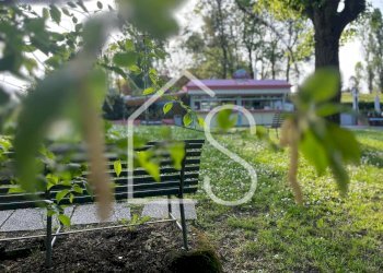 WhatsApp Image 2025-08-06 at 09.24.52 (1).jpeg - Alimentari - Gastronomia Via Dante 32, Zola Predosa - foto 2