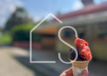 WhatsApp Image 2025-08-06 at 09.24.52.jpeg - Alimentari - Gastronomia Via Dante 32, Zola Predosa - foto 3