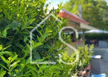 WhatsApp Image 2025-08-06 at 09.24.54.jpeg - Alimentari - Gastronomia Via Dante 32, Zola Predosa - foto 12