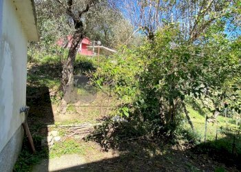 WhatsApp Image 2025-09-09 at 17.49.05.jpeg - Porzione di casa via pegui 1, Calice al Cornoviglio - foto 21