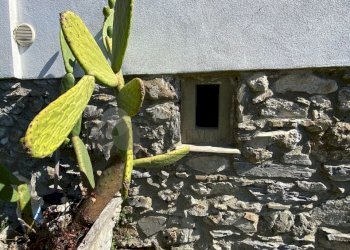 WhatsApp Image 2025-09-09 at 17.49.08 (1).jpeg - Porzione di casa via pegui 1, Calice al Cornoviglio - foto 29