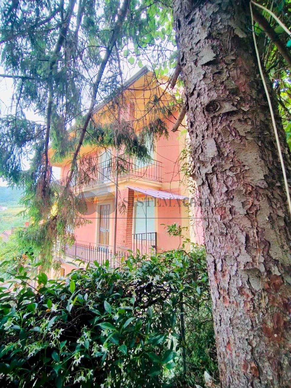 1.jpeg - Independent house Sarzana - photo 1