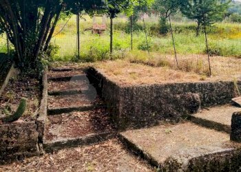 5.jpeg - Independent house Sarzana - photo 2