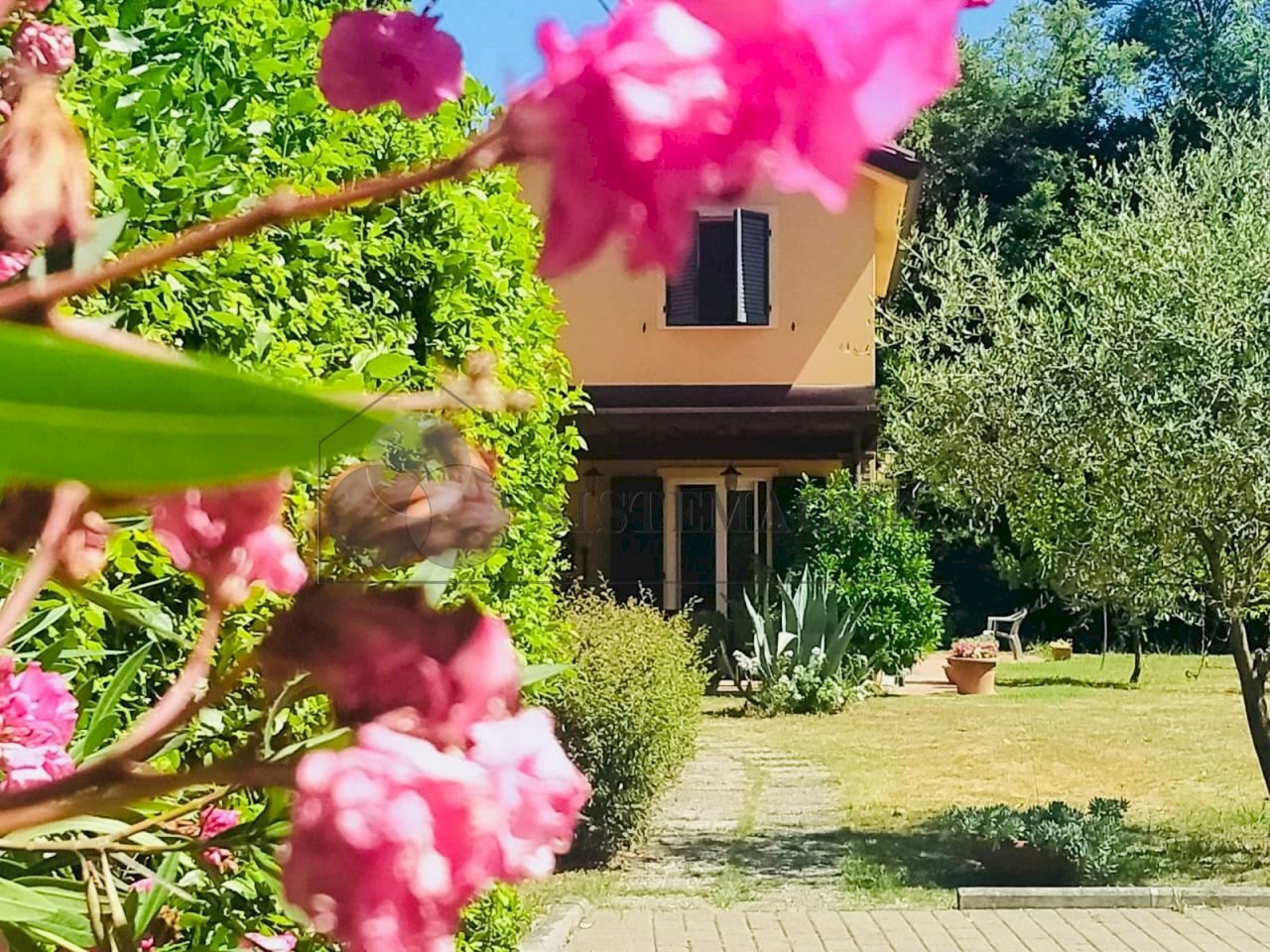 WhatsApp Image 2025-07-09 at 17.58.47 (2).jpeg - Villa Castelnuovo Magra - photo 2