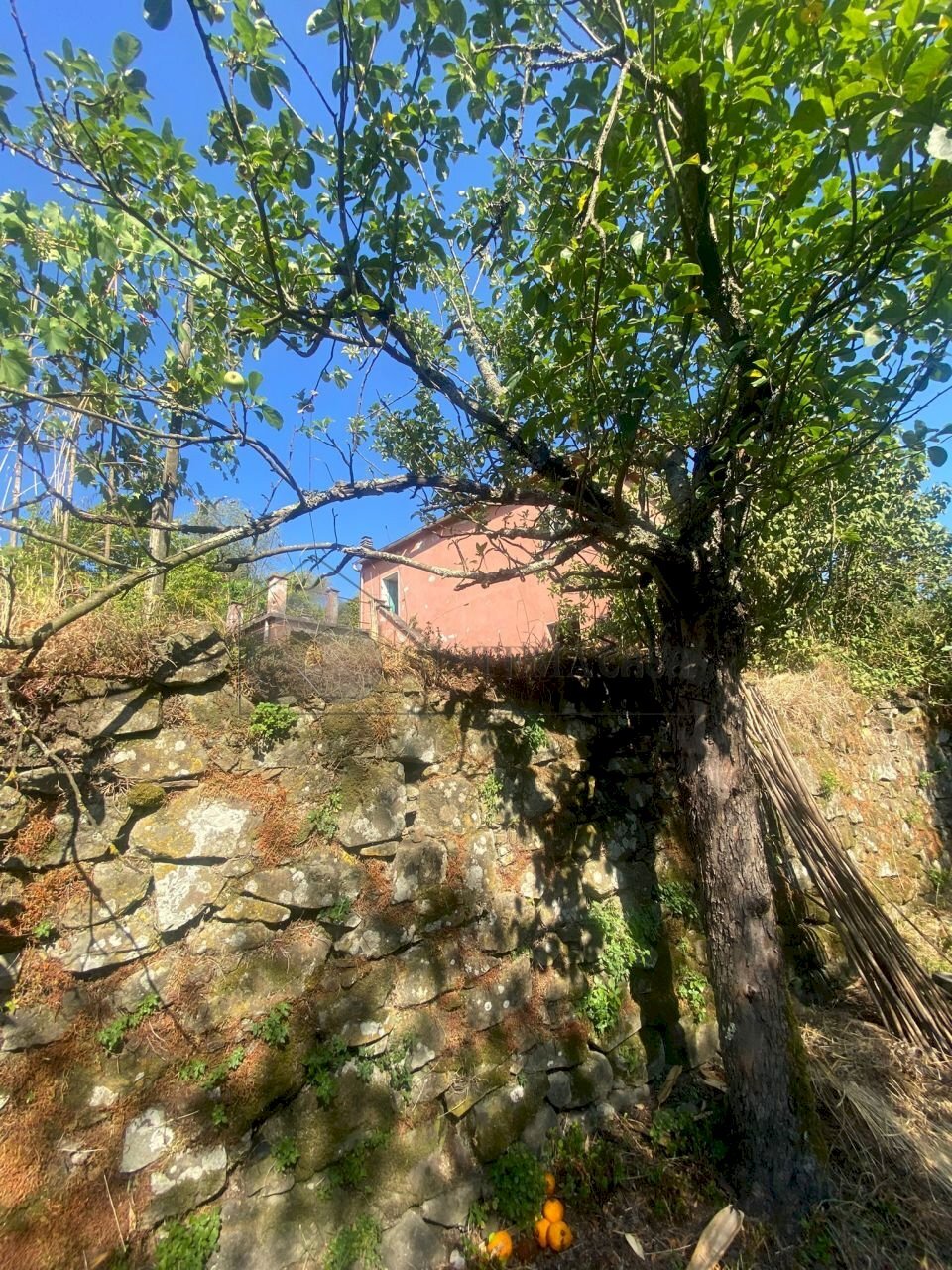 WhatsApp Image 2025-07-03 at 10.35.52.jpeg - Villa Follo - foto 2