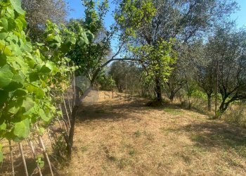 WhatsApp Image 2025-07-03 at 10.35.18.jpeg - Villa Follo - photo 5