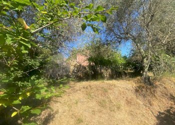 WhatsApp Image 2025-07-03 at 10.35.20.jpeg - Villa Follo - photo 8