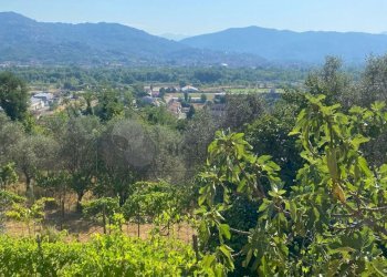 WhatsApp Image 2025-07-03 at 10.35.22 (4).jpeg - Villa Follo - photo 19