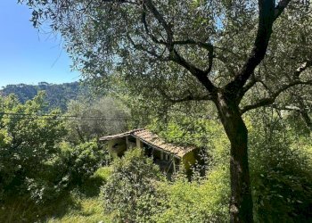 31.jpeg - Villa Via San Lorenzo 20, Follo - photo 8