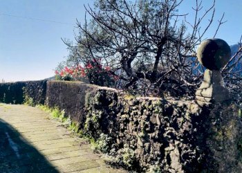 3.jpeg - Terratetto - Terracielo Via Pontile 1, Borghetto di Vara - foto 1