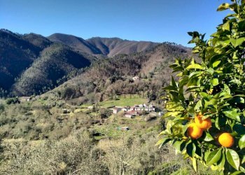 10.jpeg - Terratetto - Terracielo Via Pontile 1, Borghetto di Vara - foto 4