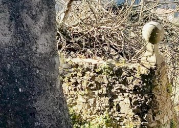 4.jpeg - Terratetto - Terracielo Via Pontile 1, Borghetto di Vara - foto 14