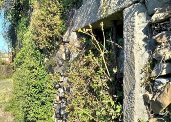 12.jpeg - Terratetto - Terracielo Via Pontile 1, Borghetto di Vara - foto 16