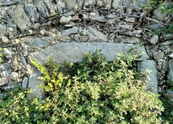 17.jpeg - Terratetto - Terracielo Via Pontile 1, Borghetto di Vara - foto 18