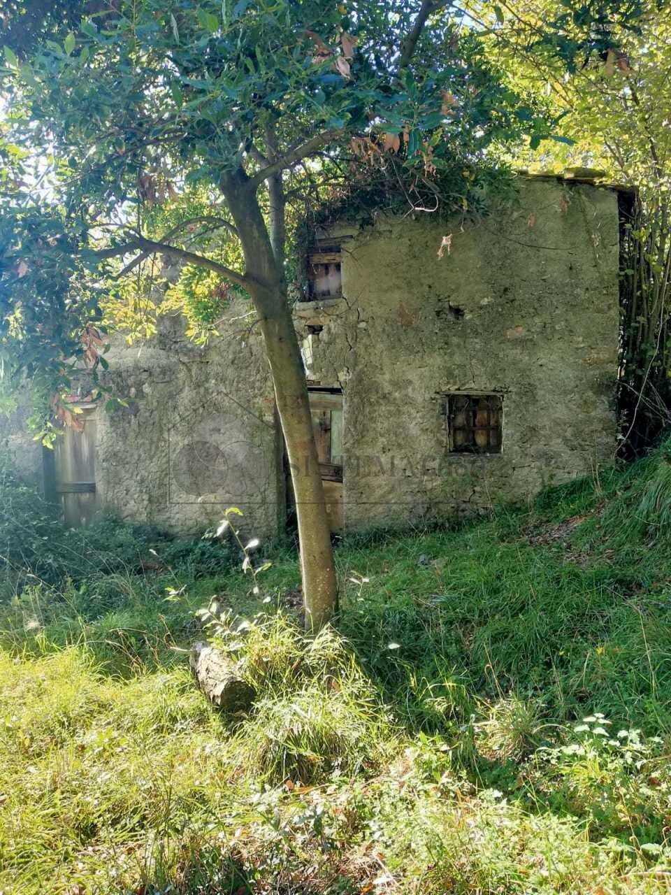 12.jpg - Portion of a house Via Volpara 9, Sarzana - photo 3
