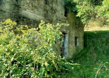 8.jpg - Porzione di casa Via Volpara 9, Sarzana - foto 4