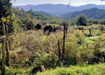 6.jpg - Porzione di casa Via Volpara 9, Sarzana - foto 6